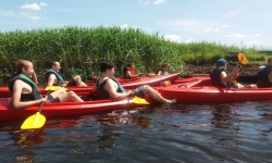 received_1545766235533916