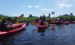 received_1545766265533913