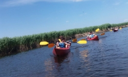 received_1545771872200019