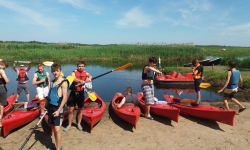 received_1545772852199921