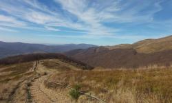 311982330_118839567654980_7511748343955442574_n