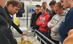 325184485_897365401402740_2825567907900777982_n