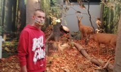 IMG_20201006_121519