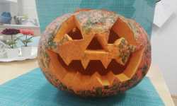 IMG-20201030-WA0001