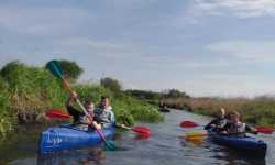 522bfaf3-641f-4d61-9612-381941af5ec5