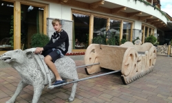 67221089_2321277031445660_3838384136104443904_n