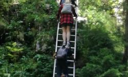 67243798_724174521344795_691115617234714624_n