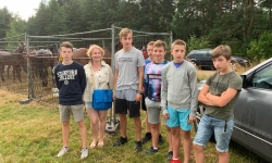 70003960_506550043251552_4429442438569918464_n