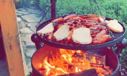 70369157_487636898450603_671265309184753664_n