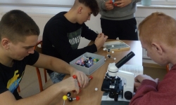 All-focus