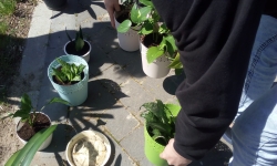 279677590_527002275497725_8074882404523422169_n